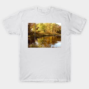 Golden Pond at Milacs Kathio State Park T-Shirt